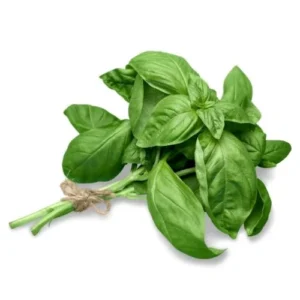 Bunch of fresh basil, for Olive That's Basil Infused Olive Oil